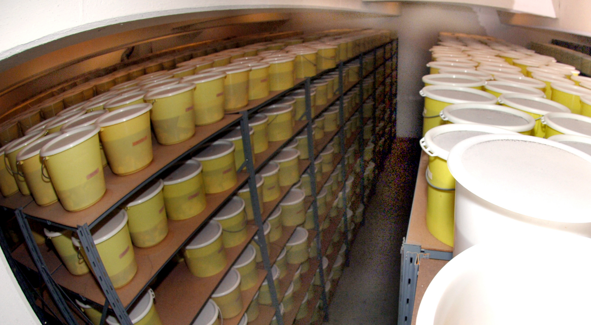 The Danish Brain Collection